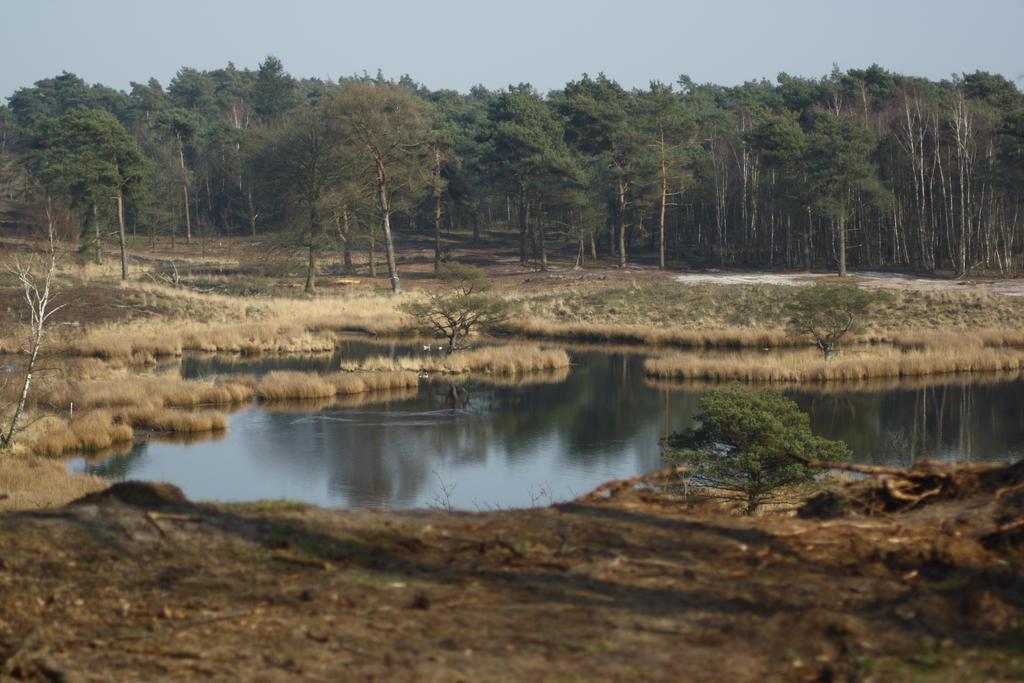 Logies Angelbeeck Villa Afferden  Bagian luar foto