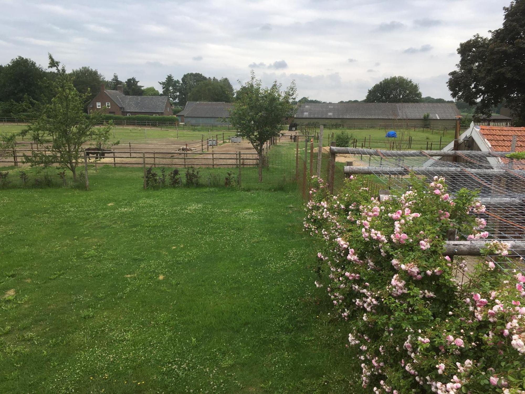 Logies Angelbeeck Villa Afferden  Ruang foto